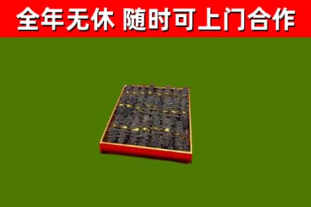 苏仙回收海参